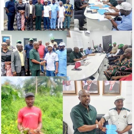 SUSTAINABLE GREEN DRIVE: C’RIVER SIGNS LANDMARK MOU WITH PROCESSED WOOD ASSOCIATION